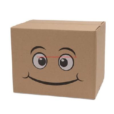 7 Ply Plain Corrugated Paper Box