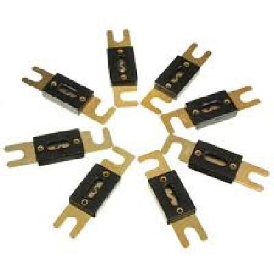 100 Amp Fuse