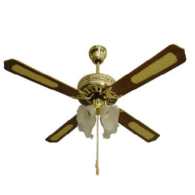 Ceiling Fan