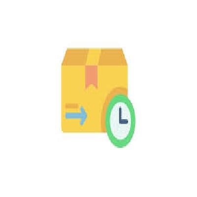 Prompt Delivery time