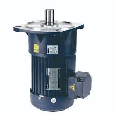Vertical Geared Motor