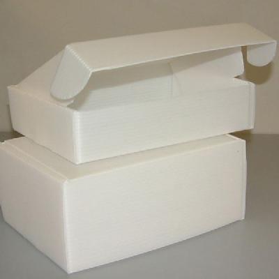 PP Flute Board Box