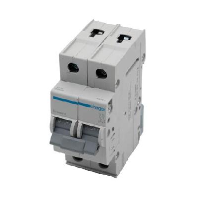 Hager 6A Double Pole MCB