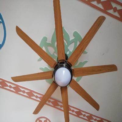HAVELLS-OCTET WITH UNDERLIGHT FAN