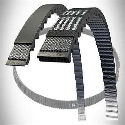 V Belt