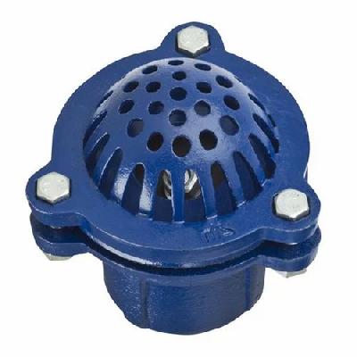 BT Cast Iron Foot Valve