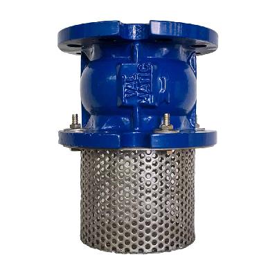 Cast Iron Agro Foot Valve
