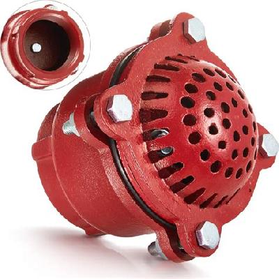 Cast Iron Auto Foot Valve
