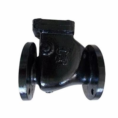 Cast Iron Bore Reflux Valve BP