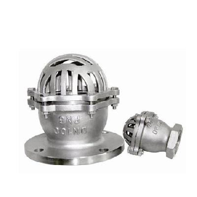 Flange Ball Foot Valve
