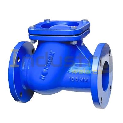 Flange Flap Non Return Valve CI