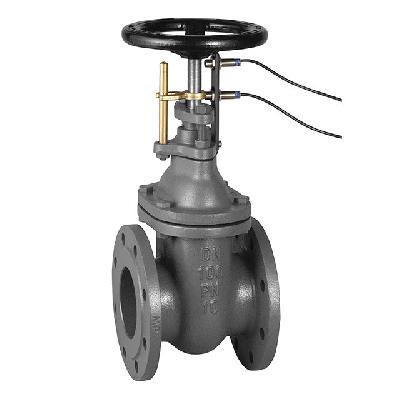 MP Cast Iron Bore Valve