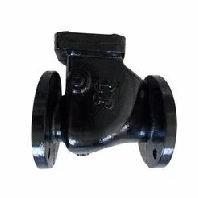 RV Cast Iron Reflux Valve