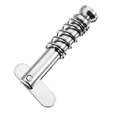 Hinge SS Pin