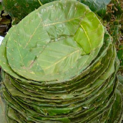 7 Inch Banana Leaf Plate