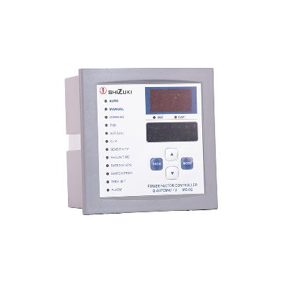 Neptune Automatic Power Factor Controller - RM Series