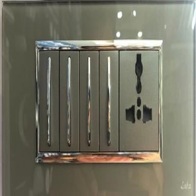 Lisha Rich Switches