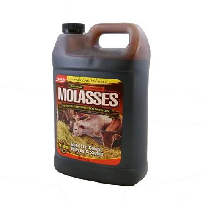 Molasses Feed