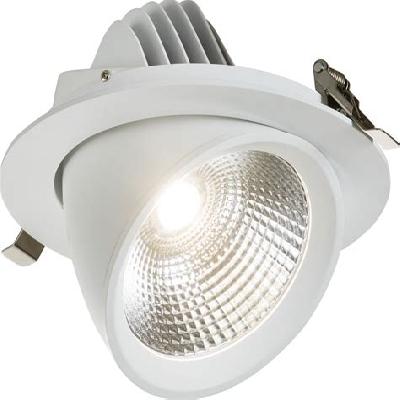 LED Recessed Downlight