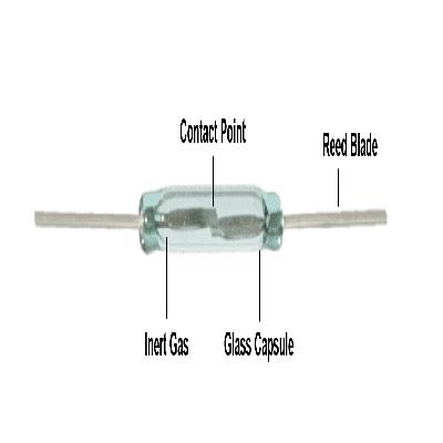 Magnetic Glass Reed Switch