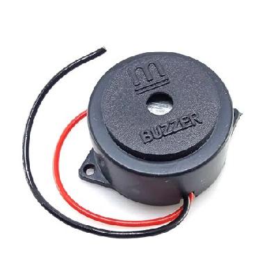 Electric Buzzer