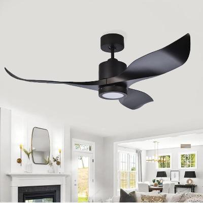 Ceiling Fans