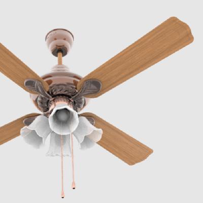 Florence 5 Celling Fan