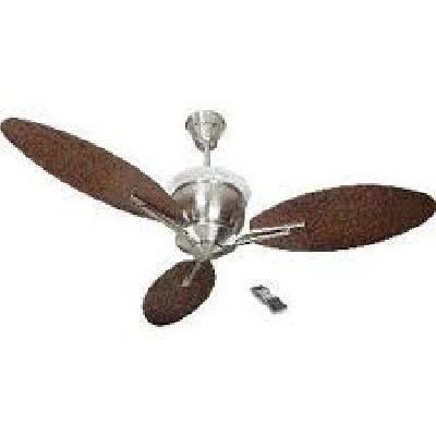 Florina Celling Fan