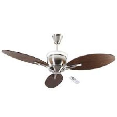 Momenta Celling Fan