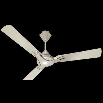 Nicola Celling Fan