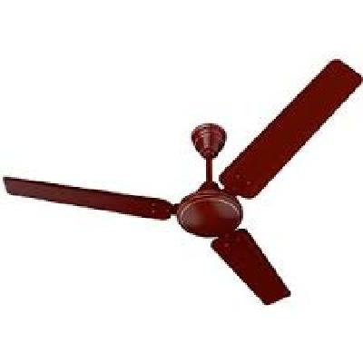 Woodster 2 Celling Fan
