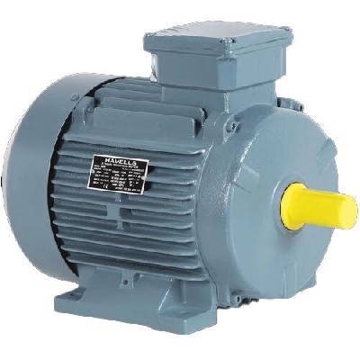 Havells Three Phase Induction Motor