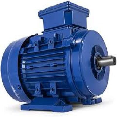 Three Phase Electric Motors