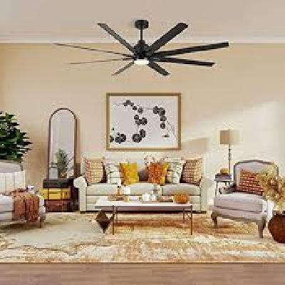 Ceiling Fans