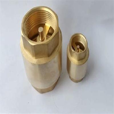 Brass NRV Check Valve