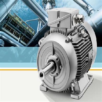 Industrial Motor TEFC