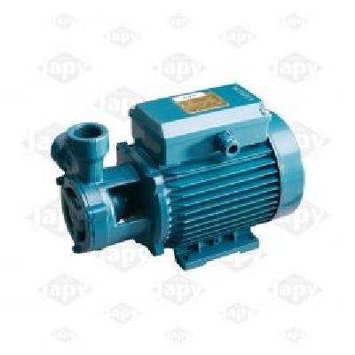 Electric Monoblock Pump