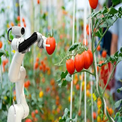 Agriculture Automation System