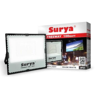 15 W Surya LED Flood Light