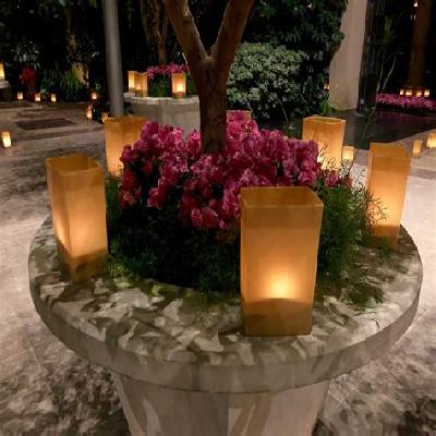 Garden Luminaries