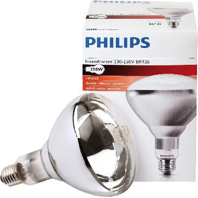 GLS-Lower Wattage Lamps (2302/50V)