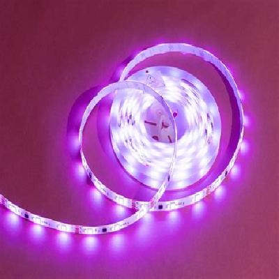 LED Light