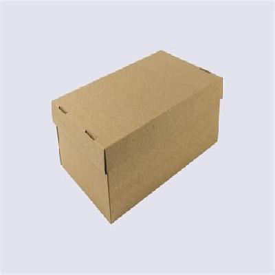 Corrugated Shoe Box
