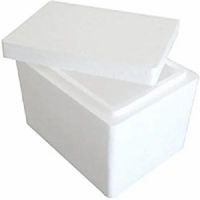 Thermocol Box For Carrying Organs