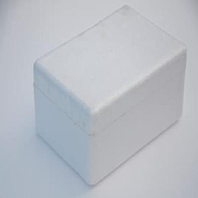 Thermocol Box to Carry Vaccinations