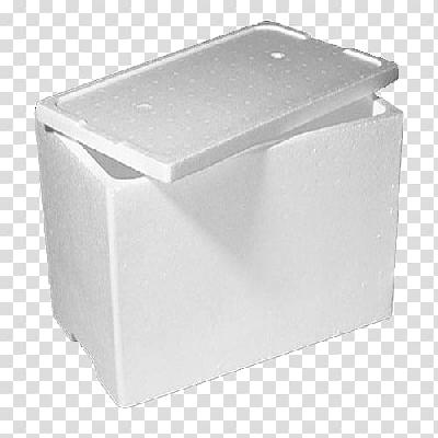 Thermocol Fruit Packing Box