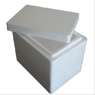 Thermocole Box for Medicine Packaging