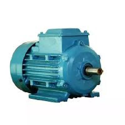 3 Phase Squirrel Gauge Induction Motor