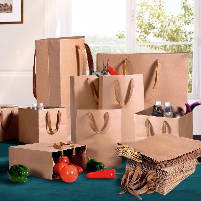 Shopping Carry Paper Bag