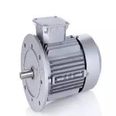 Electric Induction Motor
